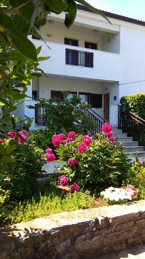 Apartmán Mimoza